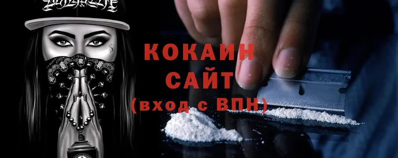 купить закладку  Буинск  Cocaine Fish Scale 